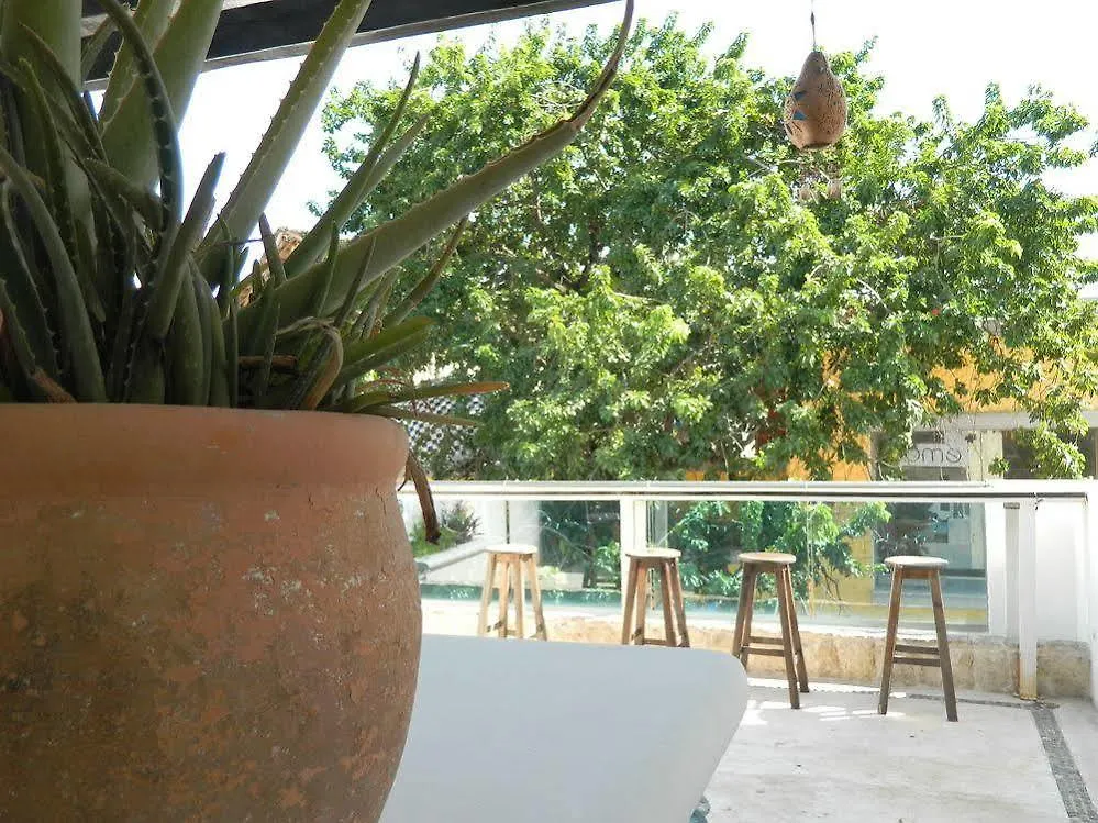 Hotel Sayab 5Ta Avenida Playa del Carmen Mexico